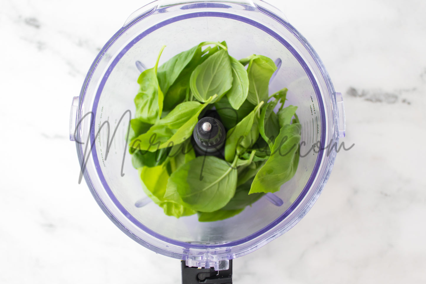 Exclusive: Basic Pesto