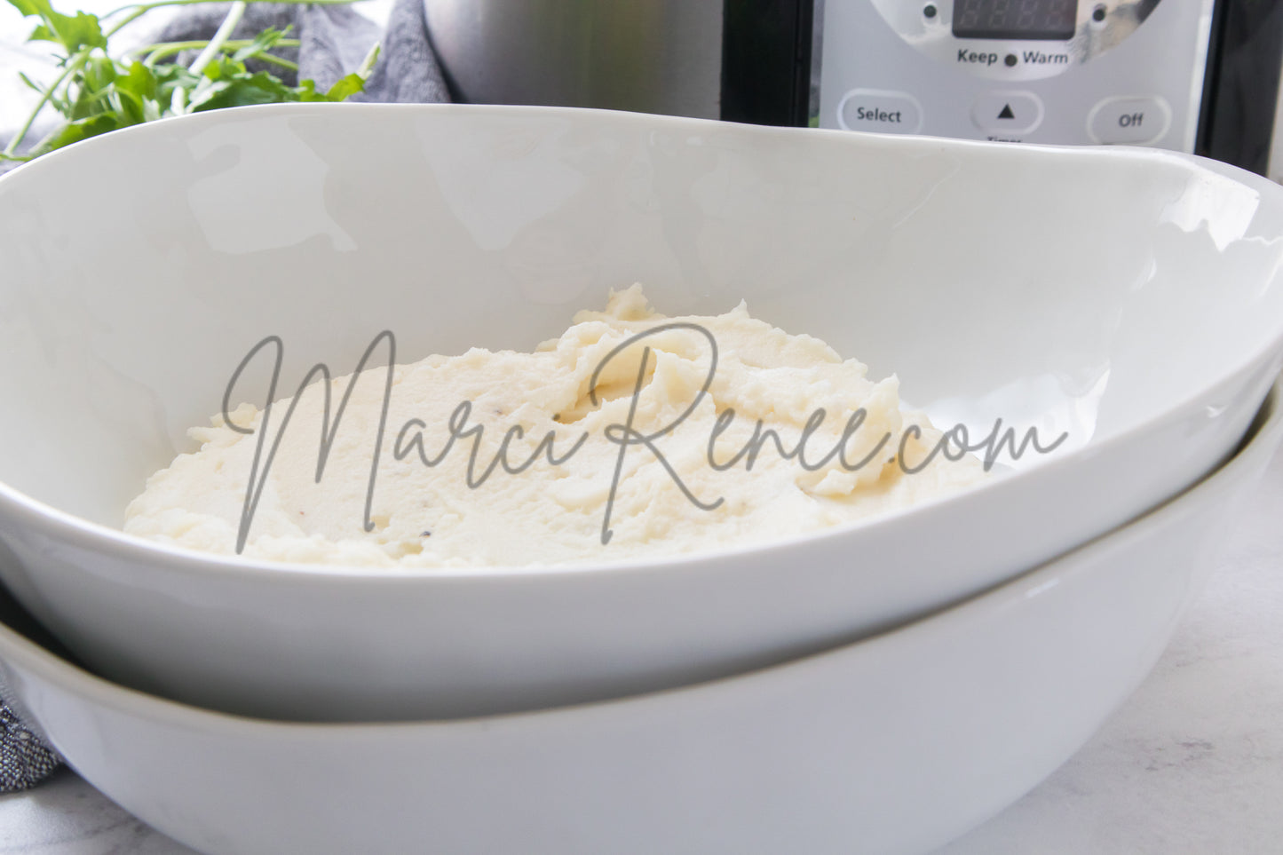 Slow Cooker Chicken and Gravy (PLR)