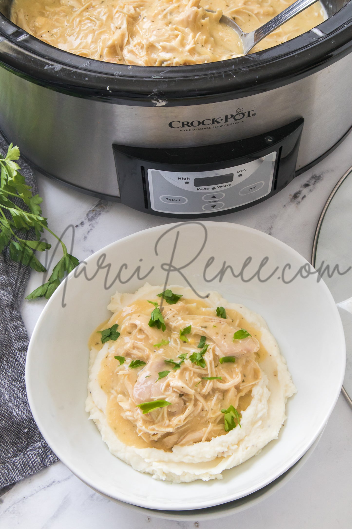 Slow Cooker Chicken and Gravy (PLR)