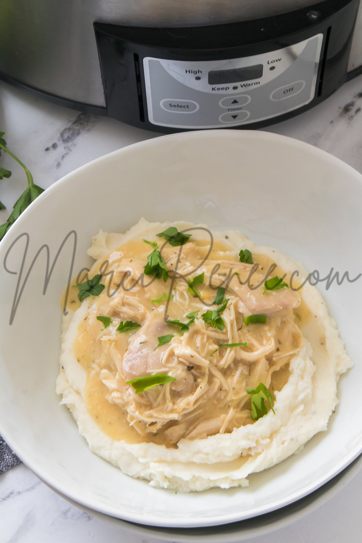 Slow Cooker Chicken and Gravy (PLR)