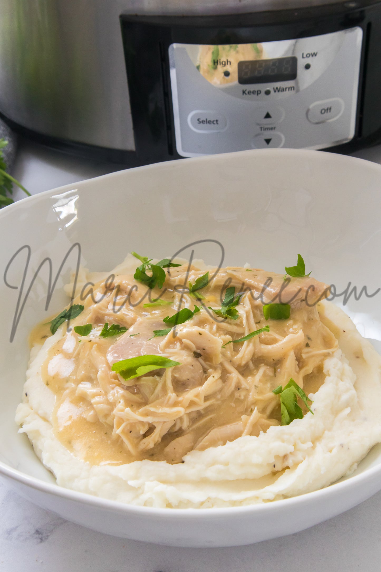 Slow Cooker Chicken and Gravy (PLR)