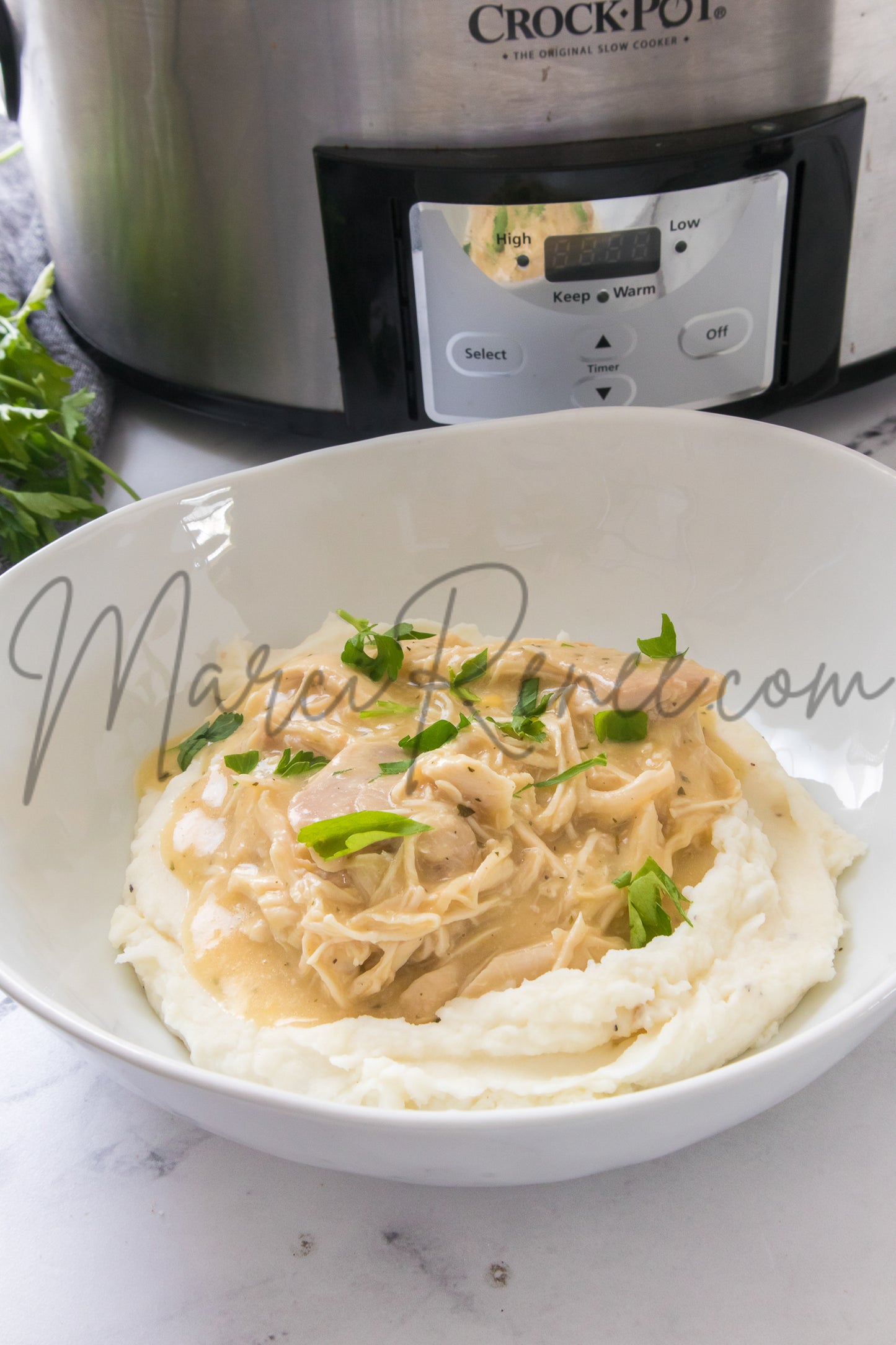 Slow Cooker Chicken and Gravy (PLR)