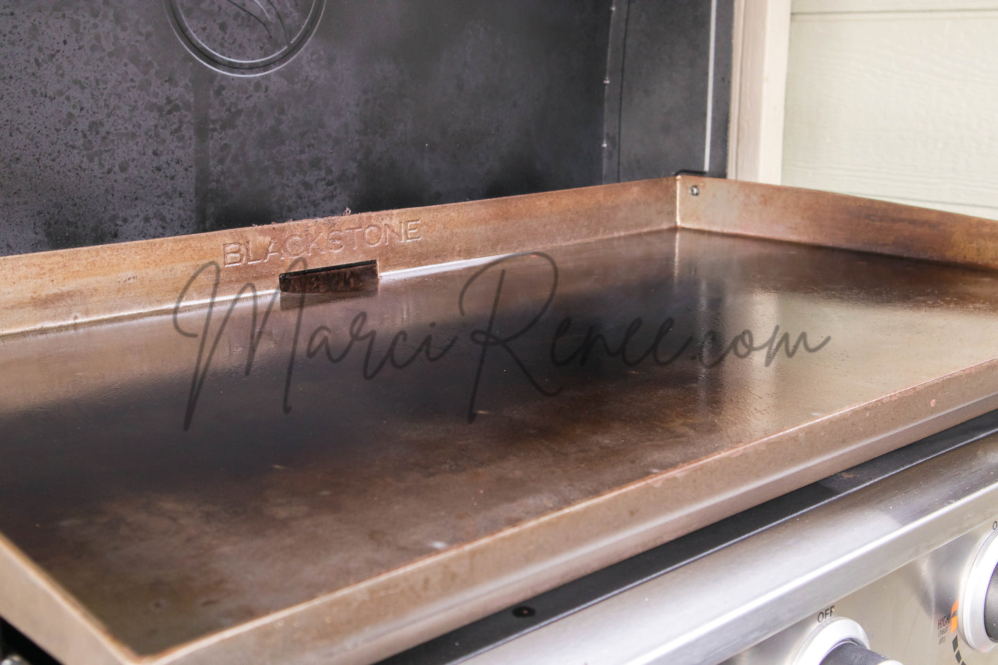 Steak Quesadillas (PLR)