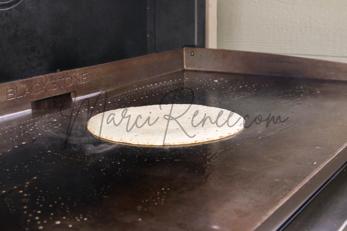 Steak Quesadillas (PLR)