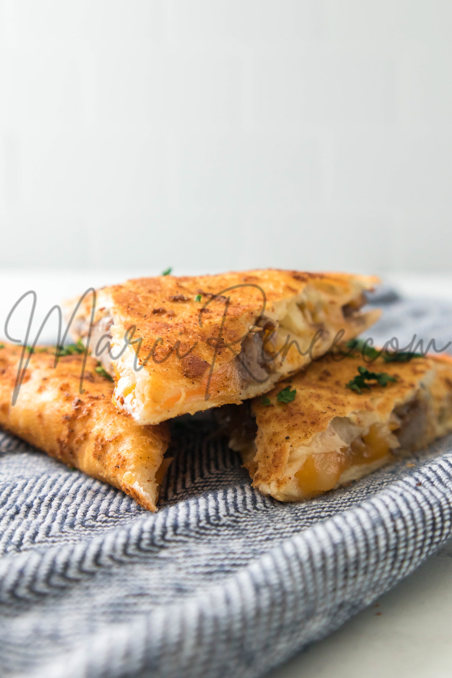 Steak Quesadillas (PLR)