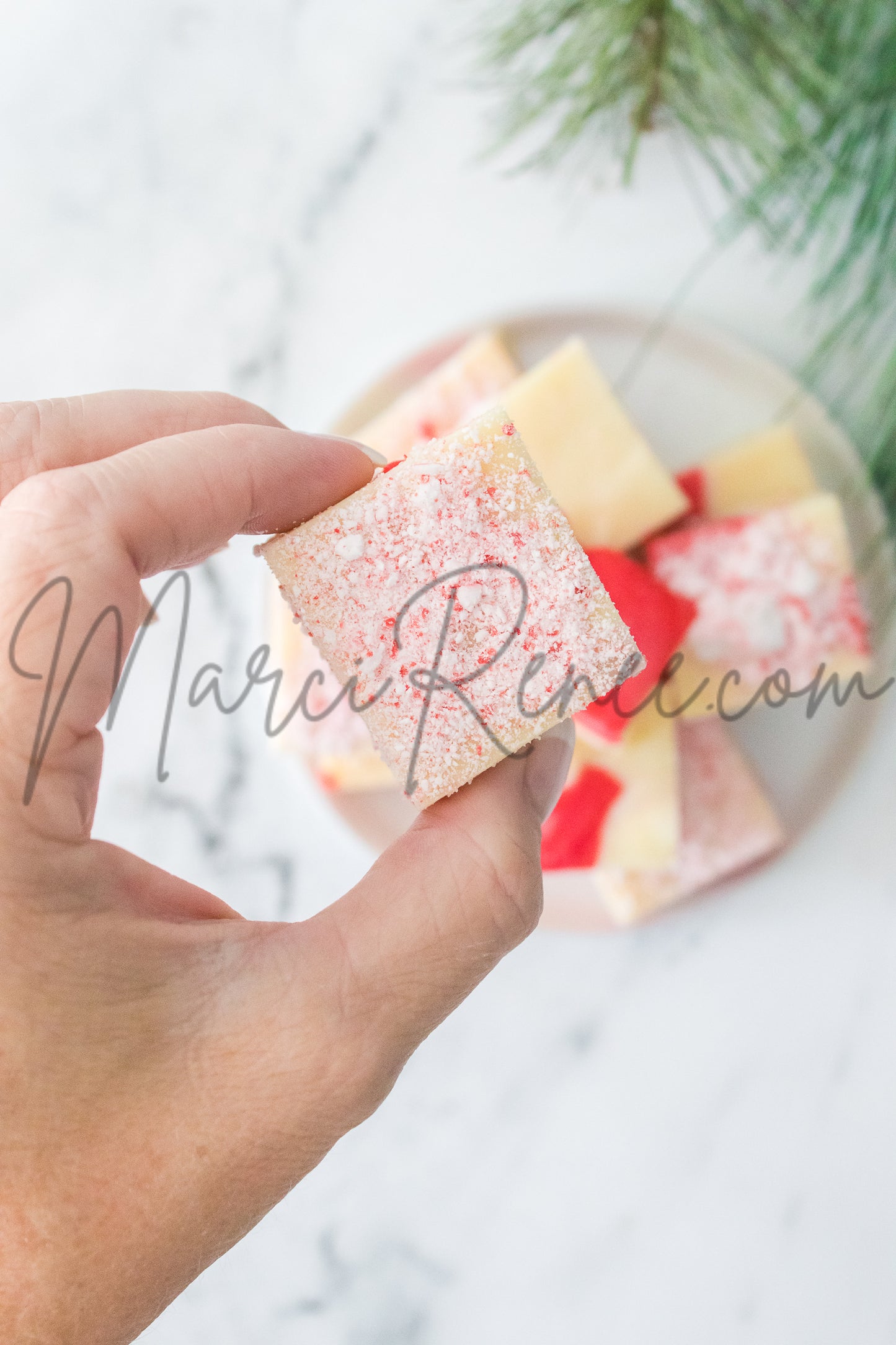 Candy Cane Fudge (Semi)