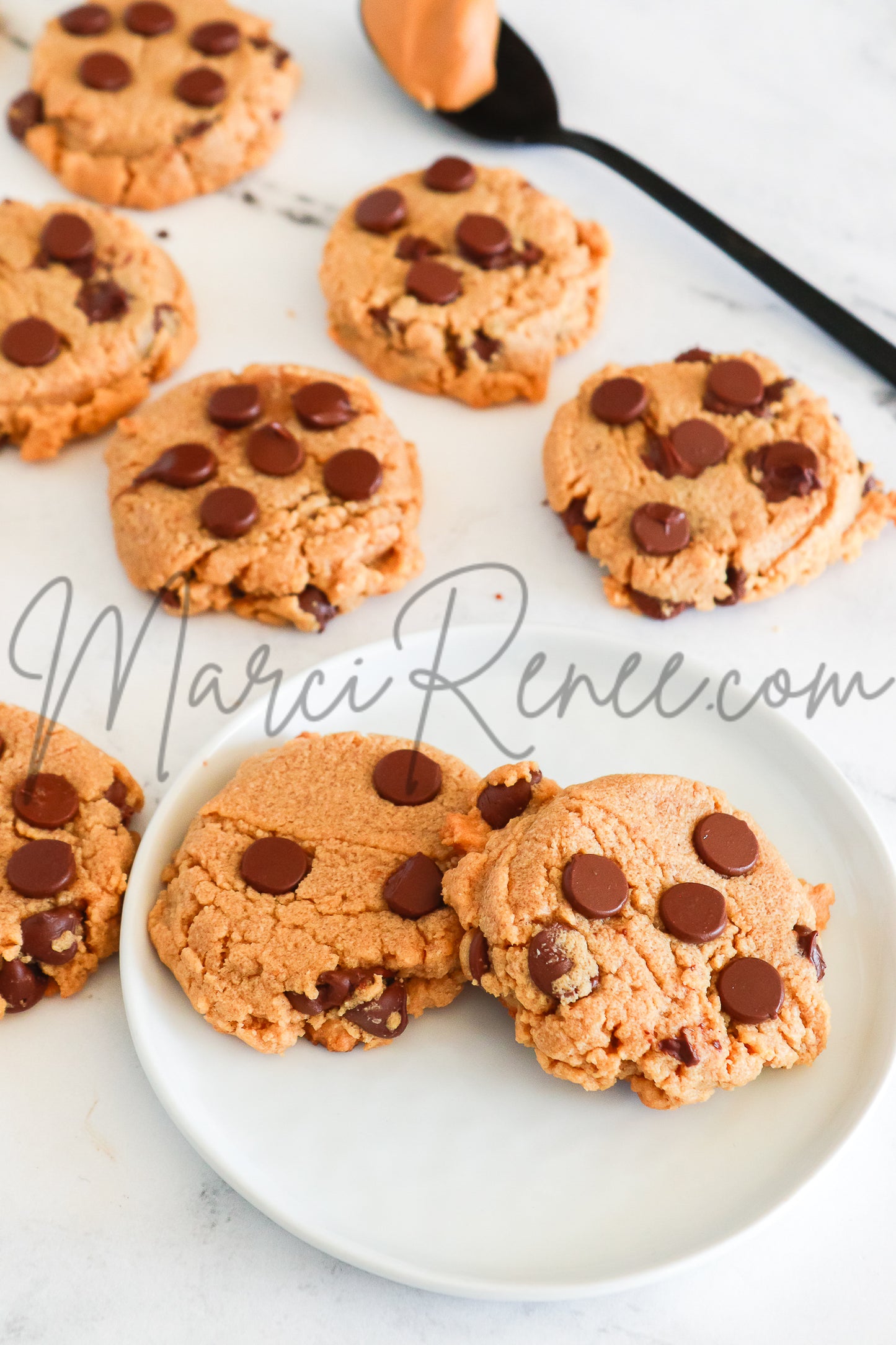 Chocolate Chip Peanut Butter Cookies (Semi with Video Set 3)