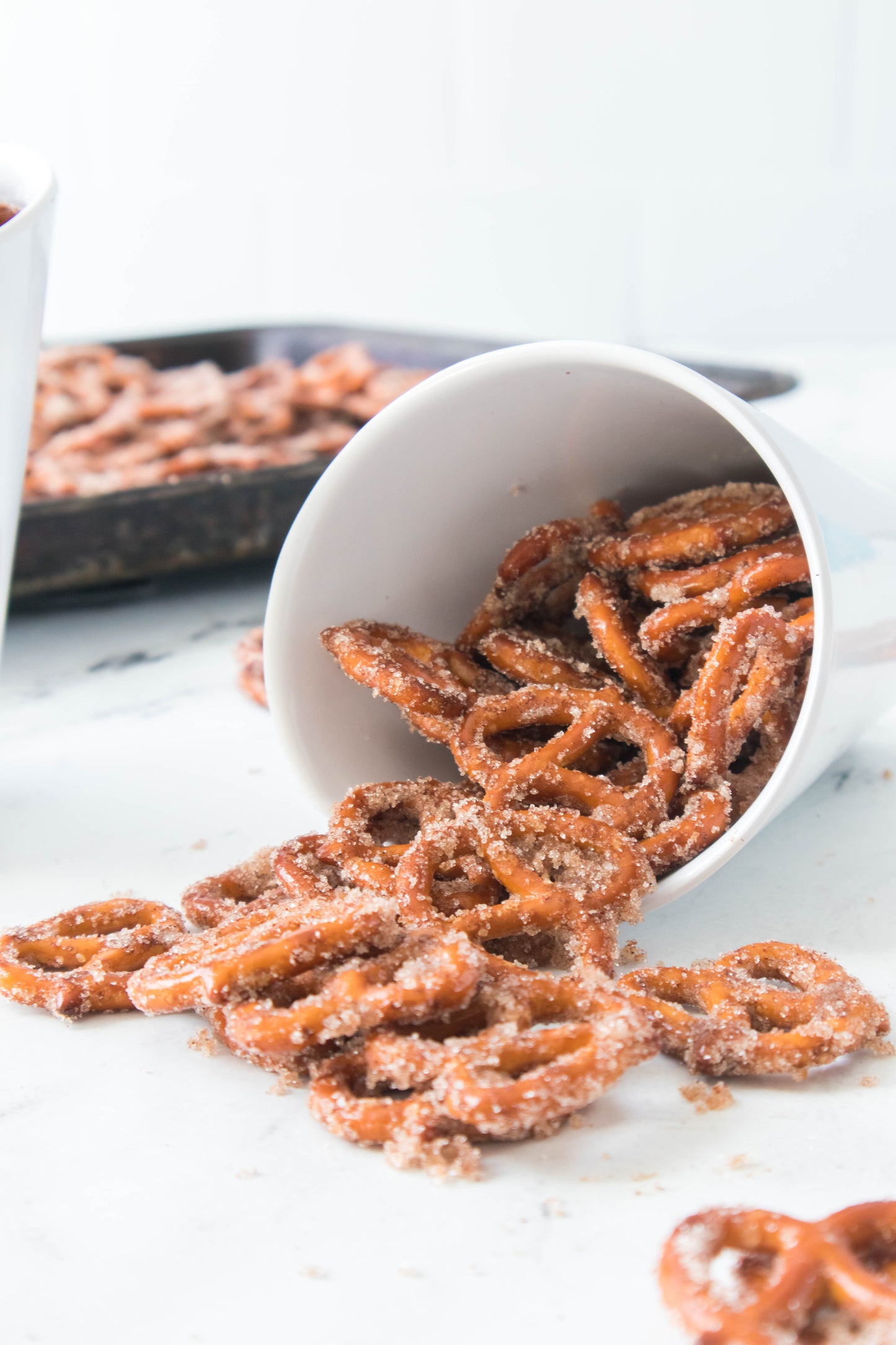 Oven Cinnamon Pretzels (PLR)