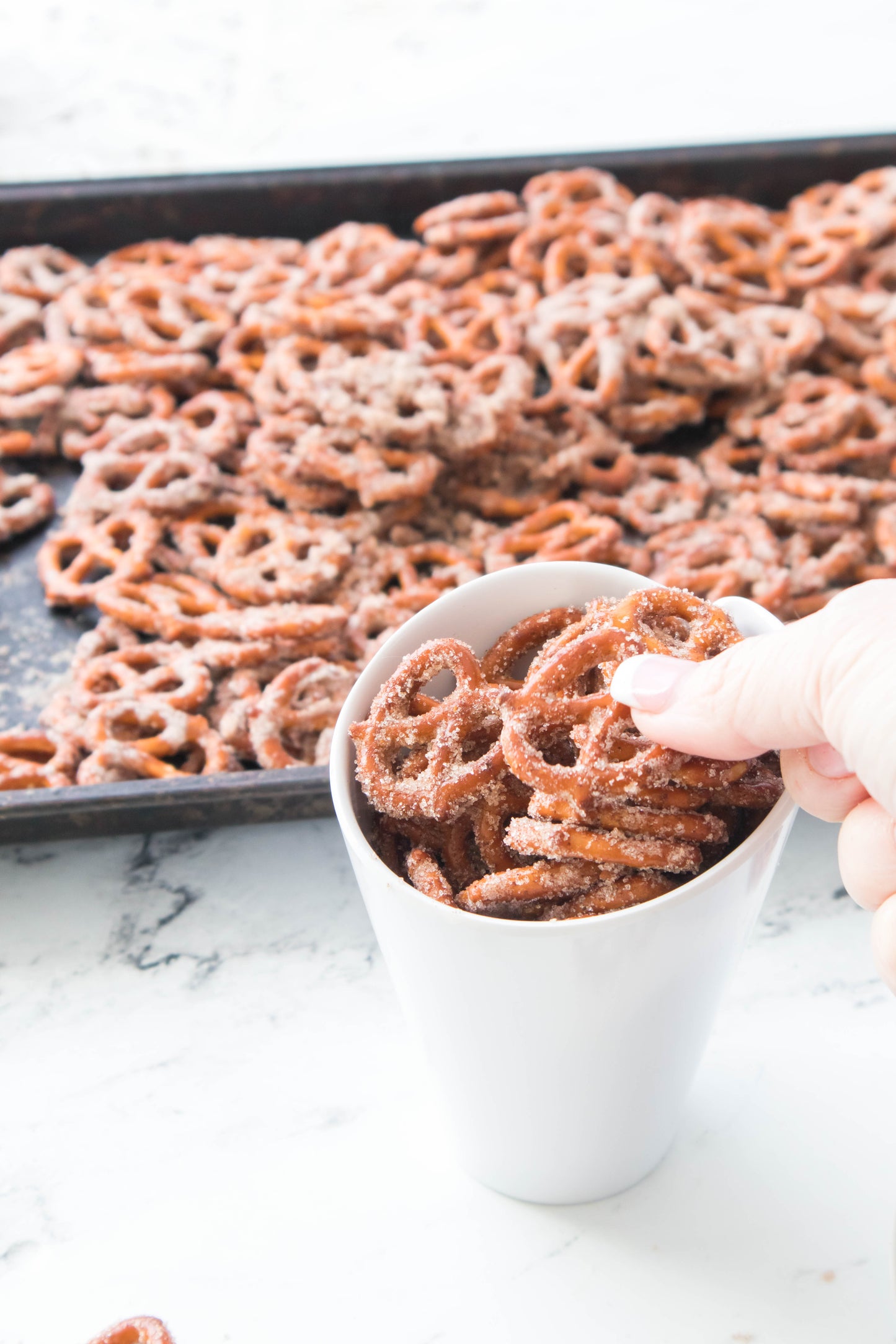 Oven Cinnamon Pretzels (PLR)