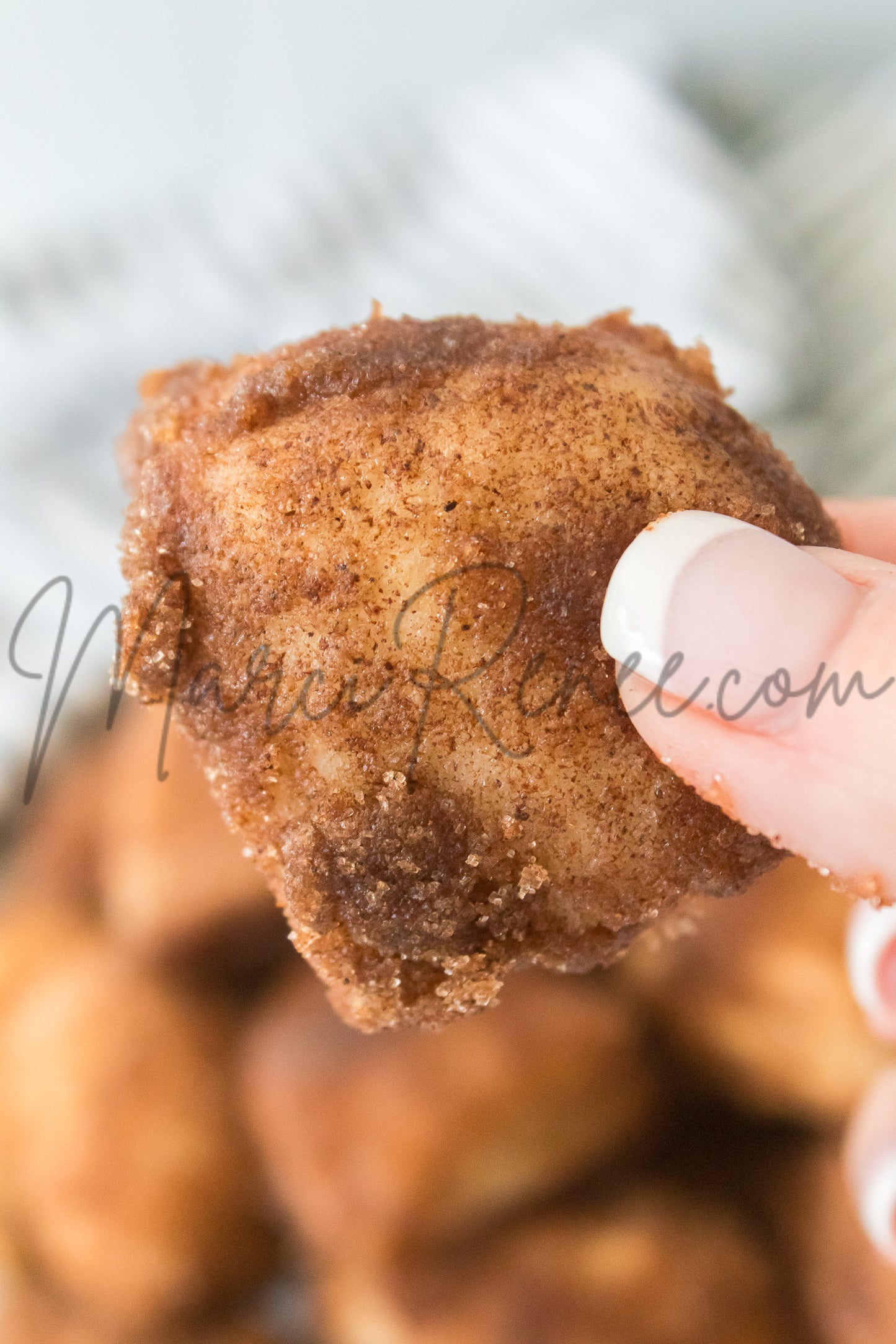 Cinnamon Sugar Biscuit Bites (Semi)